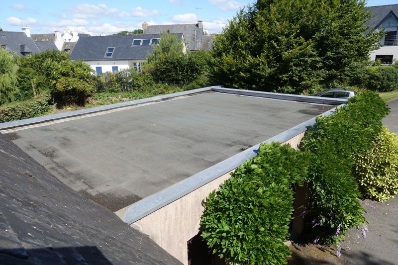 Roof Replacement detail